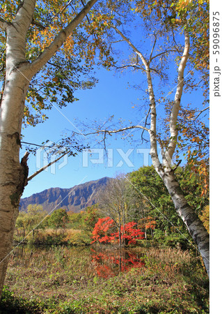秋山郷 秋の天池 秋山郷 秋の天池 59096875