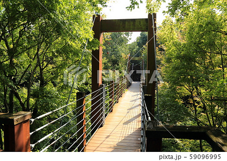万博記念公園【 自然文化園 ・ ソラード（森の空中観察路） 】　大阪府吹田市 59096995