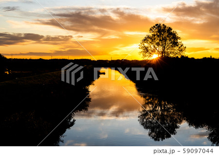 見沼田んぼ　冬の朝の美しい風景 59097044