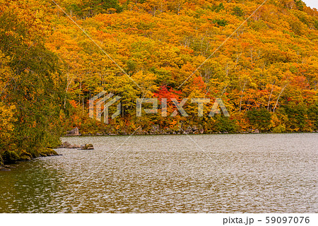 志賀高原の紅葉【長野県・琵琶池】 59097076