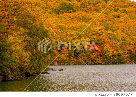 志賀高原の紅葉【長野県・琵琶池】 志賀高原の紅葉【長野県・琵琶池】 59097077
