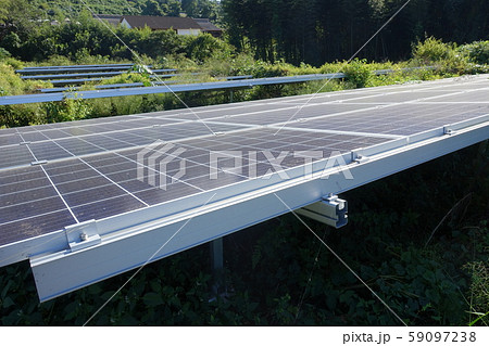 雑草に囲まれた太陽光発電所 雑草に囲まれた太陽光発電所 59097238
