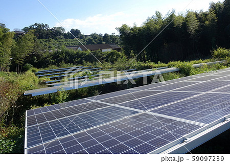 雑草に囲まれた太陽光発電所 59097239