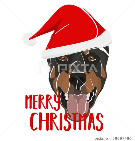 Illustration dog Doberman Merry Christmas 59097490
