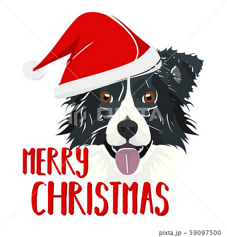 Illustration Border Collie Merry Christmas 59097500