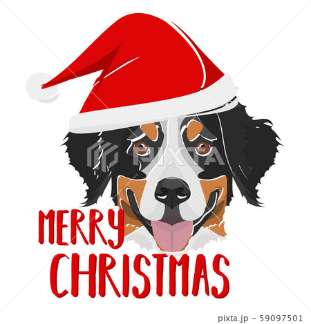 Illustration Bernese Mountain Dog Merry Christmas 59097501