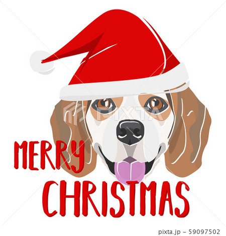 Illustration beagle dog Merry Christmas 59097502