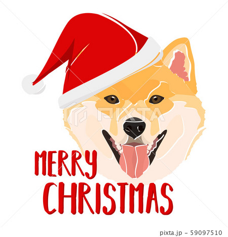 Illustration dog Shiba Inu Merry Christmas 59097510