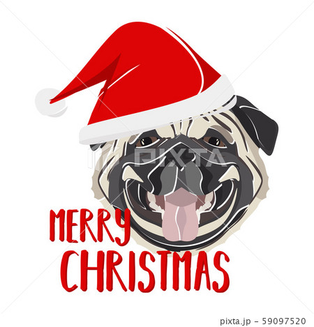 Illustration Dog Pug Merry Christmas 59097520