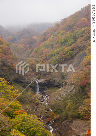 紅葉　滝 59097561