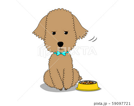 トイプードル えさを嫌がる のイラスト素材