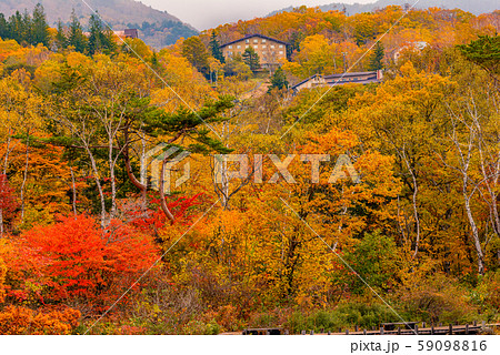 志賀高原の紅葉【長野県・一沼】 59098816