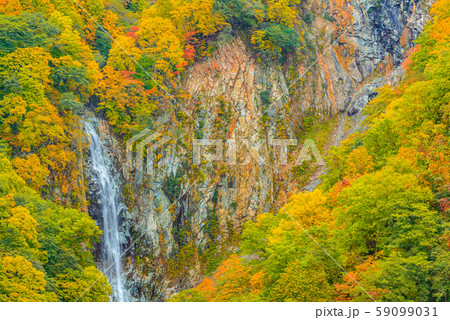 志賀高原の紅葉 長野県 澗満滝 の写真素材