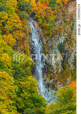 志賀高原の紅葉 長野県 澗満滝 の写真素材