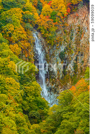 志賀高原の紅葉 長野県 澗満滝 の写真素材