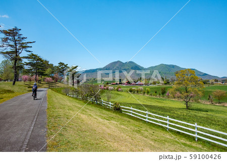 蒜山高原  春満開　新緑 59100426
