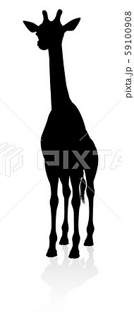 Giraffe Animal Silhouette 59100908