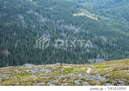 Hiker and forest, Babia hora hill Slovakia 59101004