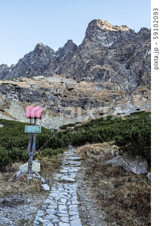 Footpath in Velicka valley, High Tatras mountains, 59102093