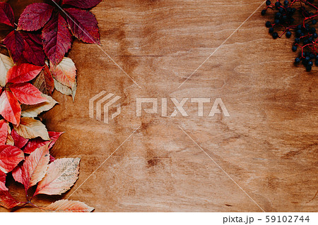 Red and yellow autumn leaves on wooden background Red and yellow autumn leaves on wooden background 59102744