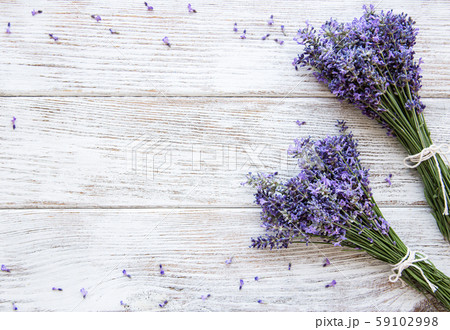 Fresh flowers of lavender Fresh flowers of lavender 59102998