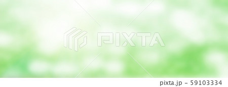 Abstract blurry image of green leaves with bokeh and sunlight in background. 59103334