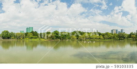 Panorama view of City public park with lake and green trees in background. 59103335