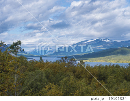 landscape with beautiful river Lulealven, snow 59105324