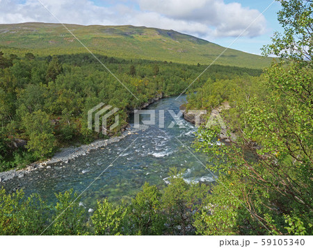 Blue glacial river canyon and green birch tree Blue glacial river canyon and green birch tree 59105340