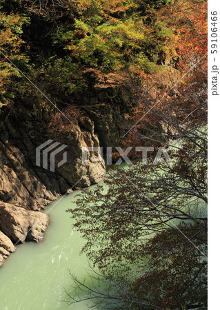秋山郷の秋　猿飛橋から見下ろす中津川渓谷 59106466