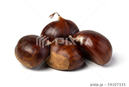 chestnuts on a white background chestnuts on a white background 59107335