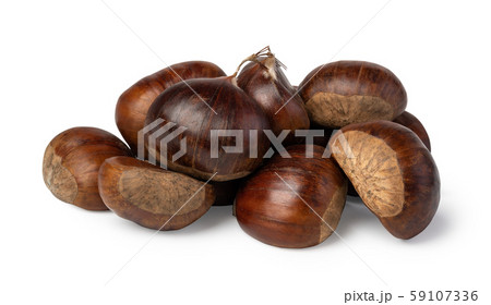 chestnuts on a white background chestnuts on a white background 59107336