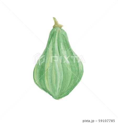 Watercolor hand drawn sketch Pumpkin 59107785