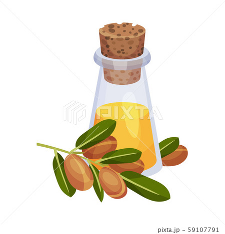 Jojoba Oil Bottle with Label and Jojoba Branch Next to It Vector Illustration 59107791