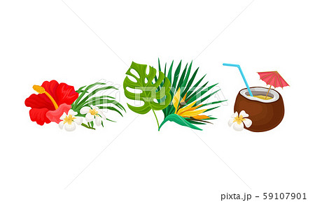 Set of hawaiian flower arrangements. Vector illustration on a white background. 59107901