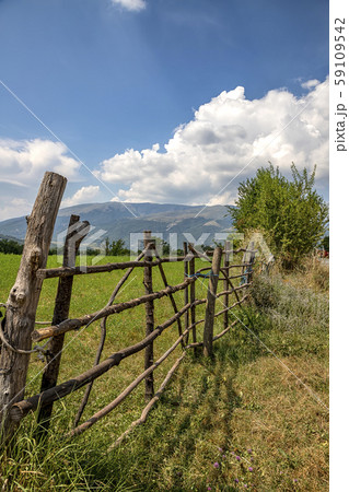 fence fence 59109542