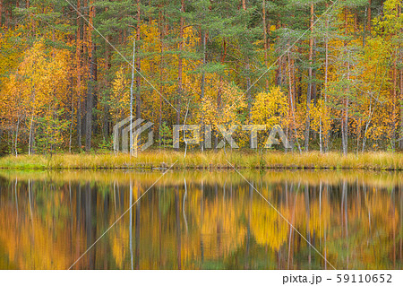 Serene autumn landscape at forest lake Serene autumn landscape at forest lake 59110652