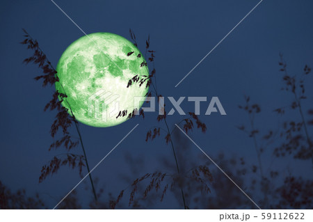 Super Beaver Moon on dark sky and silhouette glass 59112622