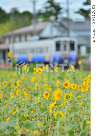 ひまわりとえちぜん鉄道 59112685