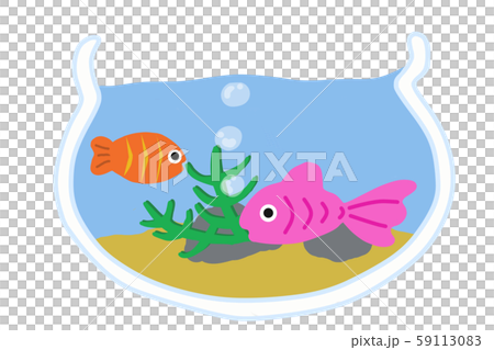 金魚 59113083