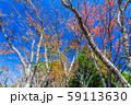 紅葉イメージ 59113630