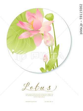 Pink Lotus. Template for wedding invitation Pink Lotus. Template for wedding invitation 59115002