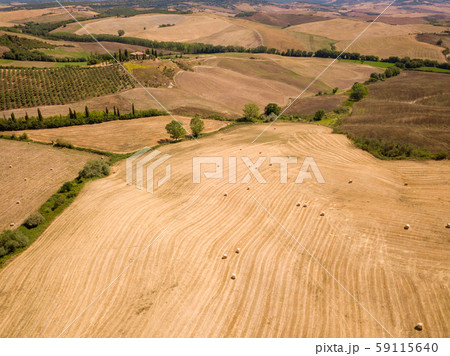 Aerial summer rural landscape of Tuscany 59115640