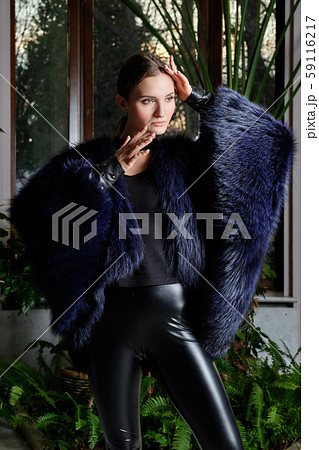 Portrait of beautiful model in blue fur coat Portrait of beautiful model in blue fur coat 59116217
