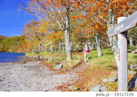 紅葉の大沼周遊歩道 59117239