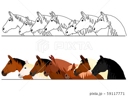 リアルな馬のボーダーのセット カラー 線画のイラスト素材 59117771