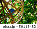竹籠と風鈴 59118432