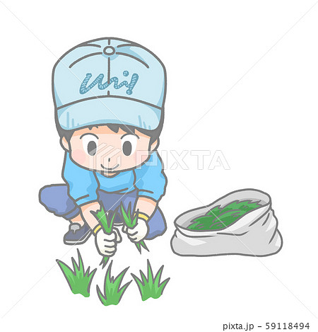草むしりをする男の子のイラストのイラスト素材