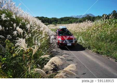 御嶽山を望むススキの道 59118915
