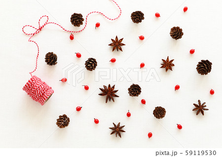 松ぼっくり、ベリー、スターアニス 59119530